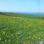 Vandrarhem Aille River Tourist And Doolin
