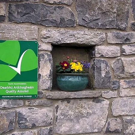 Aille River Tourist And * Doolin