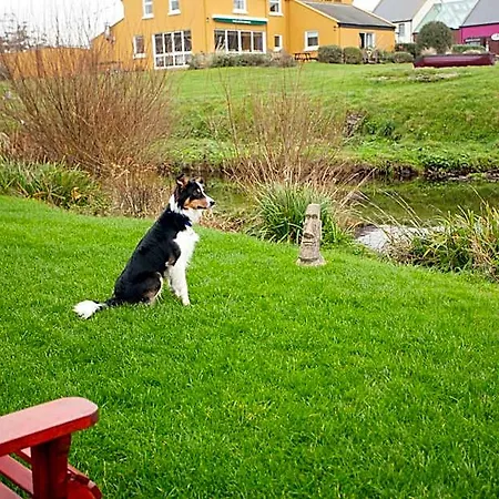 Aille River Tourist And * Doolin