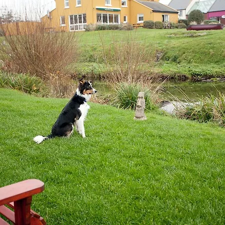 Aille River Tourist Hostel And Camping Doolin Doolin