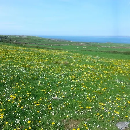 Hostel Aille River Tourist Hostel And Campsite Doolin Doolin