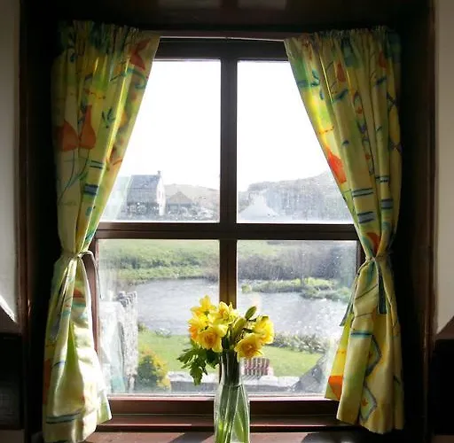 Aille River Tourist And Auberge de jeunesse Doolin