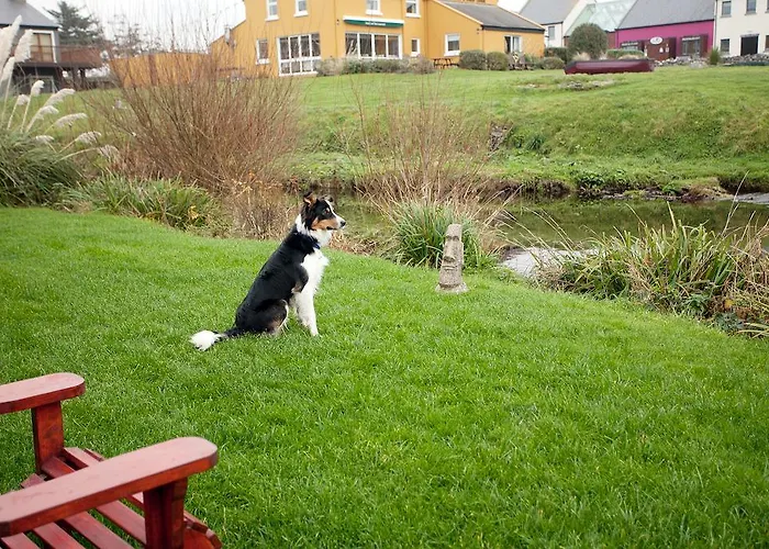 Aille River Tourist And Doolin