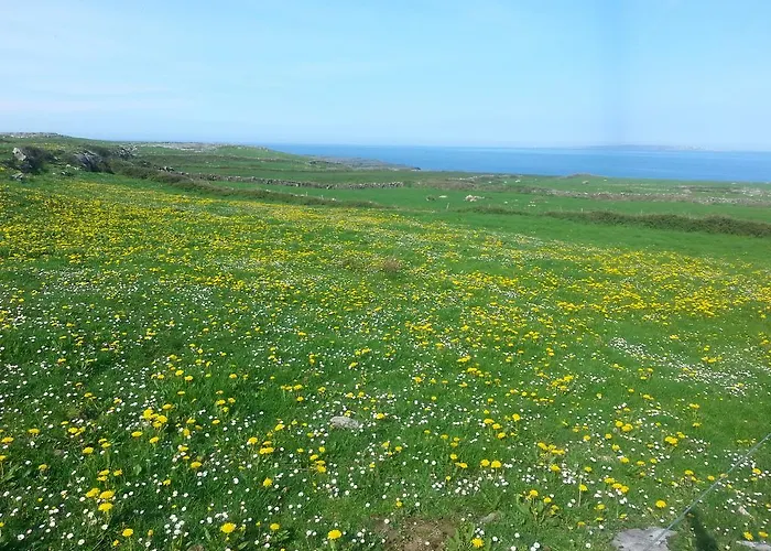 Hostel Aille River Tourist And Doolin